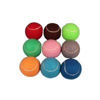Boule de Tennis interactif pour chien, jouet personnalisé, vente en gros, dispositif d'entraînement pour animaux de compagnie