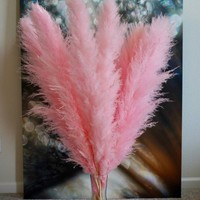 Dekorasi Rumah Gaya Boho untuk Pernikahan, Halloween, Hari Ibu & Hari Valentine, Bunga Rumput Pampas Kering Batang Besar 110-120cm
