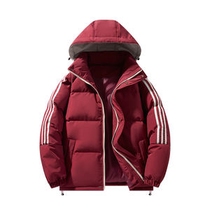 Logotipo personalizado Ropa de plumón y acolchado de algodón para hombre invierno nuevo estilo de Hong Kong abrigo suelto de talla grande pan con capucha para jóvenes nuevo - Product Image 5