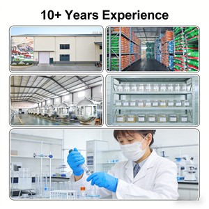 تريشوديرما لونجيبراتشيياتوم معزز مناعة النباتات الداكنة والوقاية من الأمراض 1-30 مليار مكعب/جم - Product Image 6