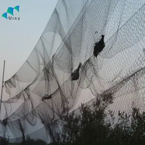 Bird Mist Netting High Density Strong Polyester Bird Net Saudi Arabia Nylon Bird Net Trap Catching Pigeon Sparrow