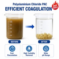 Chlorure de polyaluminium PAC, poudre coagulante pour le traitement de l'eau à haute teneur en Al2O3