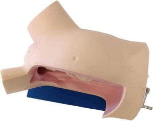 Modello Ginecologico per Dimostrare Procedure <span class=keywords><strong>Standard</strong></span> di Parto, Simulatore per Formazione Ostetrica, Simulatore per l'Addestramento alle Abilità di Parto - Product Image 4