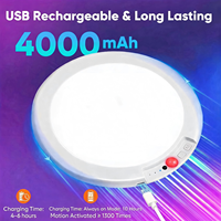 Plafonnier à détecteur de mouvement rechargeable en ABS, design moderne, télécommande, 12 couleurs RGB CW, éclairage pour placard, salle de bain, douche