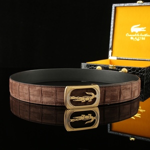 Nuevo Cinturón de Cuero de Cocodrilo 100% Genuino de Alta Calidad para Hombre, Cinturones Formales con Hebilla de Placa de Marca Veritable para Hombre, Fabricantes - Product Image 4