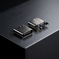 One-Stop-Einkauf mit Anpassungsmöglichkeiten: 2-Pin USB Typ-C Buchse, Vertikaler Steckverbinder, Schnelles Mobiles Ladeport-Gerät