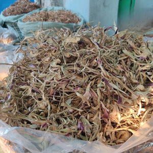 Poudre de feuilles d'artichaut séchées du Vietnam Fleur d'artichaut séchée naturelle - Product Image 1