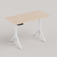 PRORIALS Meuble de bureau moderne en promotion, bureau assis-debout à moteur unique, hauteur réglable, plus stable, multi-pieds