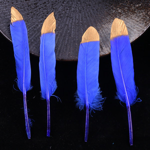Plumes d'oie en vrac, accessoires décoratifs pour la création de chapeaux, accessoires vestimentaires, artisanat DIY, fournitures pour fêtes et mariages - Product Image 3