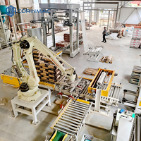 Robot palettiseur automatique pour cartons et sacs, machine de remplissage de palettes, haute productivité, équipement d'emballage écologique