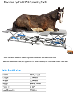 โต๊ะปฏิบัติการม้าสัตว์ใหญ่ไฮดรอลิกไฟฟ้าทำจากสเตนเลส304ผลิต18ปี - Product Image 3