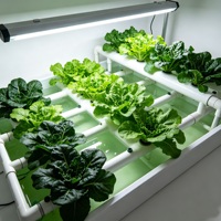 Système hydroponique NFT intérieur et extérieur, kit de culture vertical multicouche pour jardin domestique et ferme commerciale