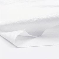 Sac tissé en PP transparent de taille personnalisable 50 kg 20 kg 10 kg pour ciment, farine, engrais, maïs, thermoscellé, gaufré, recyclable