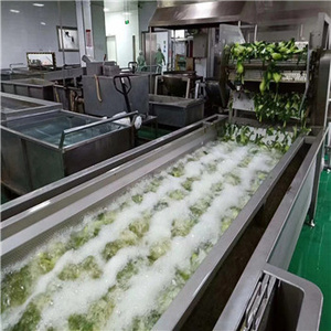 เครื่องลอกเปลือกและทำความสะอาดใบไม้สีเขียว พร้อมมอเตอร์ 1100 วัตต์ ราคาสุดคุ้ม - Product Image 4