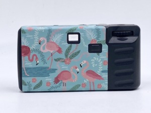 Hot <b>Sale</b> Single Use Custom Wholesale Disposable Camera With <b>Flash</b> 35mm Film Vintage White Single-use Funsaver Bulk Wholesale Dis - Product Image 6