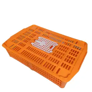 双门鹌鹑箱塑料活鸡笼养殖鸡设备运输板条箱PH270