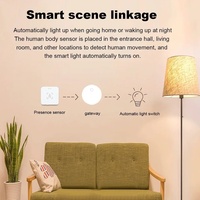 Détecteur de Présence Humaine Smart Life 5.8G 24G Tuya Wifi Radar MMWave PIR Zigbee avec Écran OLED et Interrupteurs Inductifs USB