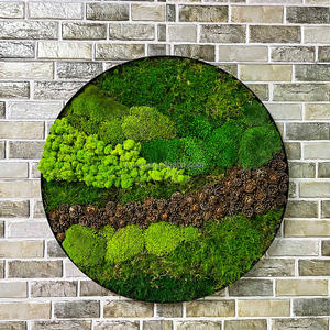 Arte Decorativa da Parete in Muschio di Renna Naturale Preservato, Dimensioni Personalizzate 15X20 cm, Design Decorativo Naturale per <span class=keywords><strong>la</strong></span> Casa - Product Image 6