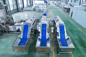 Máy cắt/boil củ khoai môn/củ cải/khoai lang, máy gọt/cọ rửa gừng/cà rốt - Product Image 6