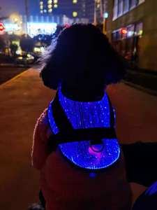 Roupas para cães de estimação em fibra óptica LED luminosa para uso em todas as estações disponíveis - Product Image 3