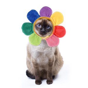 Cappello da compagnia personalizzato Kingtale nuovo cartone animato corna di alce stile molti colori del copricapo per animali domestici cappello per cane e gatto - Product Image 1