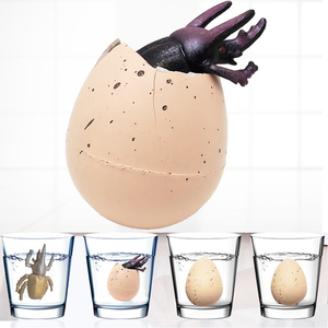 Œufs de scarabée à faire éclore dans l'eau, assortiment varié de scarabées à faire éclore et grandir, pour jeux de chasse aux insectes, remplissages de paniers de Pâques - Product Image 1