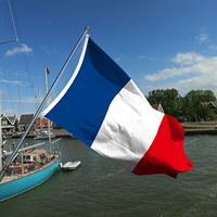 Drapeaux en polyester de haute qualité Promotion en gros impression Jumbo taille 90x150cm 3x5 pieds drapeau personnalisé Double face drapeau national France