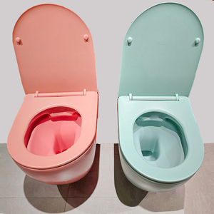 WC <span class=keywords><strong>suspendu</strong></span> bleu mat profilé 49 cm, gain de place, avec réservoir encastré, pour salle de bain, Sublime, à chasse arrière, ensemble WC - Product Image 6
