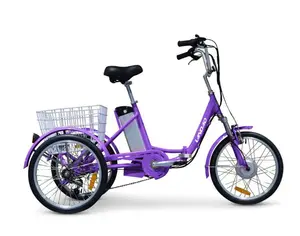 2021 adult cargo electric tricycle big wheel bicycle/electric 3wheel cargo tricycle low price ebike /20 inch lady electric bike