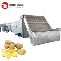 Machine de séchage des épices au gingembre de 20 tonnes de capacité, contrôle PLC, ligne de production de gingembre séché