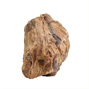fossiles treibholz sortierte zweige bonsai aquarium natürliche treibholz-zubehör reptilien-dekoration ornament - Product Image 2