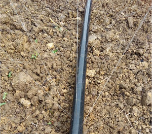 <span class=keywords><strong>Cinta</strong></span> <span class=keywords><strong>de</strong></span> micropulverización para sistema <span class=keywords><strong>de</strong></span> riego <span class=keywords><strong>de</strong></span> granja y jardín, proveedor Superior - Product Image 3