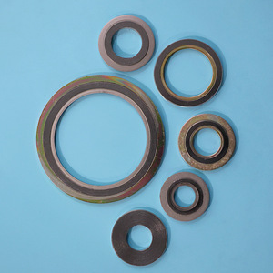 China Flange Seal <strong>Gasket</strong> <strong>Spiral</strong> <strong>Wound</strong> <strong>Gasket</strong> - Product Image 6