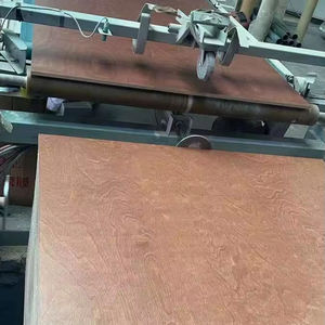 <span class=keywords><strong>Contreplaqué</strong></span> d'intérieur de meubles de noyau de <span class=keywords><strong>peuplier</strong></span> face au bouleau - Product Image 3