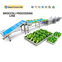 380V apparatuur voor de verwerking van verse broccoli voor supermarkten en de voedingsmiddelenindustrie, 304 roestvrij staal
