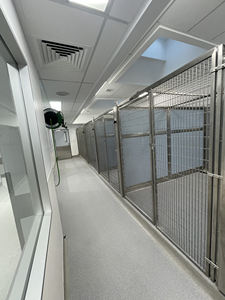 Lüks Pet House köpek evi hayvan kafesi kulübesi satış büyük kapalı evcil hayvan kafesi muhafaza - Product Image 2