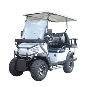 2023 Chinese New Design 48V Utility Golf Car Electric Golf Carts Electric