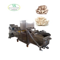 Commerciële roestvrijstalen motor aangedreven groente- en fruitwasmachine met belletjeswasser voor sojabonen en maïs