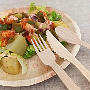 ECOWARE Juego de Cubiertos de Madera Biodegradables y Compostables, Paquete de 500 Utensilios Desechables de Madera (200 Cucharas, 200 Tenedores) para <span class=keywords><strong>Camping</strong></span> - Product Image 3