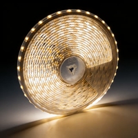 Guirlandes lumineuses à lentilles monochromes, éclairage de vitrine, éclairage de centre commercial, 24V, flexibles, réflexion diffuse, LED, CRI élevé 90, télécommande
