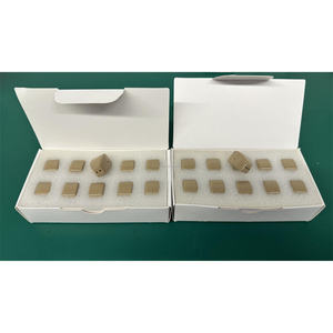 Récepteurs à conduction osseuse 2 broches pour Pocket - Product Image 6