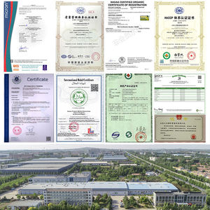 2025 Venta caliente directo <span class=keywords><strong>de</strong></span> fábrica al por mayor Keto Friendly Shirataki bueno para la Diabetes Instant Konjac Shirataki arroz con semillas <span class=keywords><strong>de</strong></span> <span class=keywords><strong>Chia</strong></span> - Product Image 6