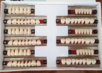 Matériel de laboratoire dentaire, ensemble complet de dents en résine acrylique synthétique, dents acryliques durcies en 2 couches