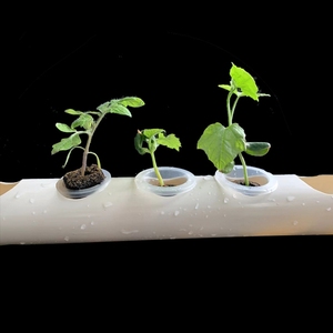 Pot <span class=keywords><strong>de</strong></span> culture hydroponique pour légumes fourni par le jardin, culture sans terre, substrat en <span class=keywords><strong>mousse</strong></span> <span class=keywords><strong>de</strong></span> croissance, bloc <span class=keywords><strong>de</strong></span> bio-carbone, éponge - Product Image 4