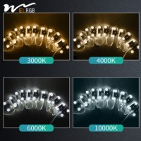WELRGB AC220V 4W/PCS Plafonnier LED haute tension à diffusion diffuse, film souple, 3000K 4000K 6000K Ra90 CRI Dimmable