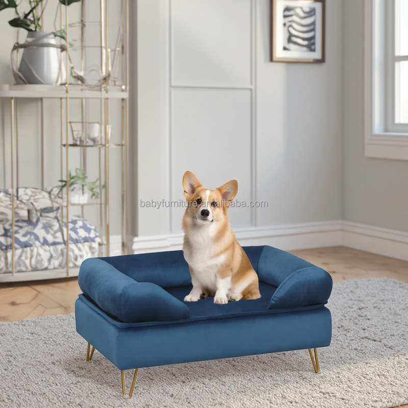 New Design Stylish Metal Feet Pet