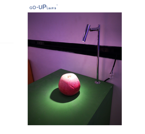 GOUPlums Profesional Museums Showcase Light 220V 24V 2W Light ForJewelry Glass Stands Display Shelves <span class=keywords><strong>LED</strong></span> <span class=keywords><strong>Spot</strong></span> Light - Product Image 3