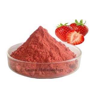 Longze extrait de poudre de fraise biologique de qualité alimentaire fruits solubles cultivés dans la bouteille emballage de récipient en verre de tambour - Product Image 2