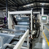Máquina Extrusora de Láminas de Plástico Profesional Personalizada de Alta Velocidad, Estable, Totalmente Automática y de Ahorro de Energía para Producción en Línea