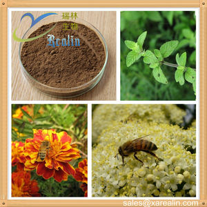 Fabrieksprijs Citroenmelisse Extract/Melissa Officinalis Extract Poeder 8% Citroenmelisse Flavonoïde - Product Image 3